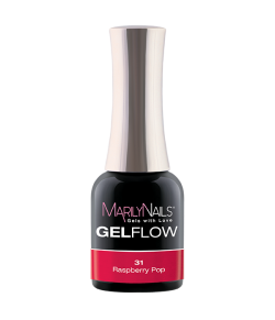 GelFlow - 31 / 1