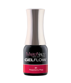 GelFlow - 31 / 2